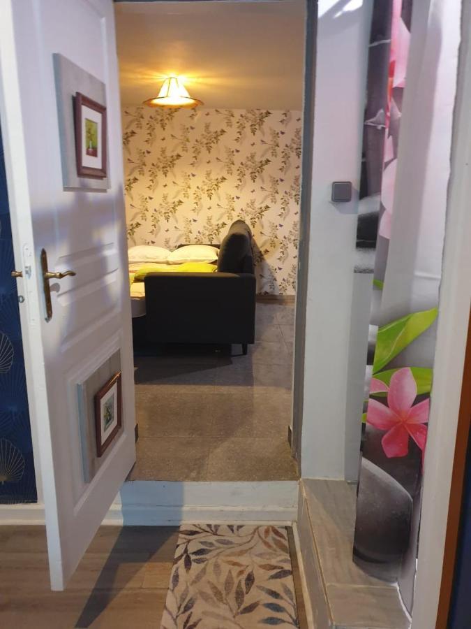Couleurs Des Iles Apartman Le Tampon Kültér fotó